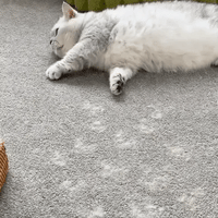 Pet Hair Removal Glove